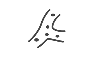 6t(6TSPORTS)Źɷݹ˾